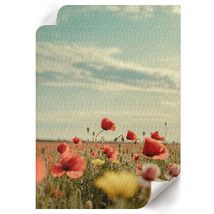 Retro plakát Lovak menekülnek