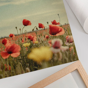 Retro plakát Lovak menekülnek