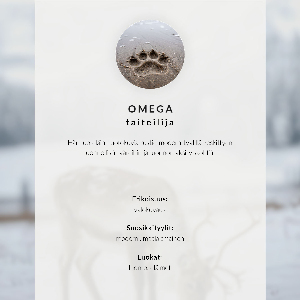 Poszter kép Madarak és a naplemente