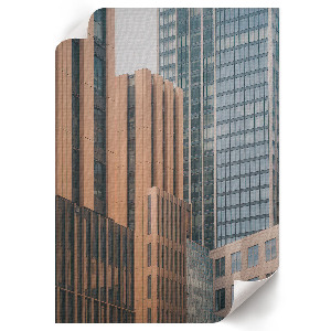 Retro plakát Dáliák