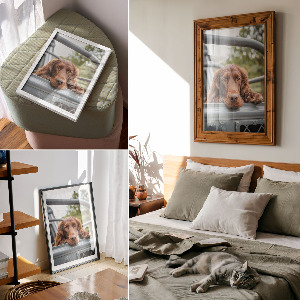 Retro plakát Pes v autě