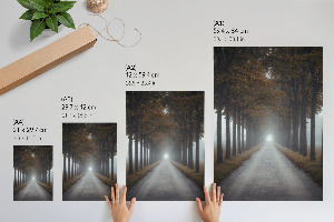 Vintage poszter Mlžná alej