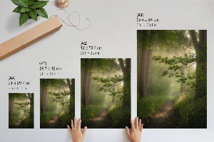 Retro poszter Lesní klid