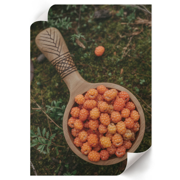 Retro poszter Lesní bobule