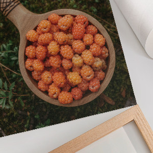 Retro poszter Lesní bobule