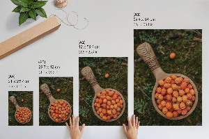 Retro poszter Lesní bobule