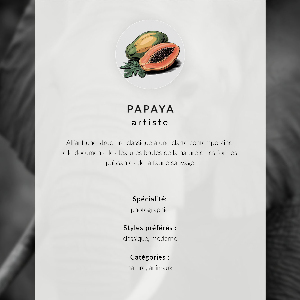 Retro plakát Zajíc v přírodě