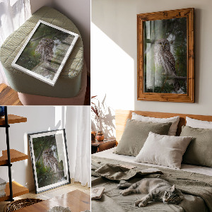 Poszter kép Lesní sova