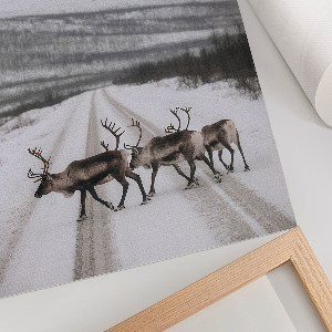 Retro poszter Zimní krajina