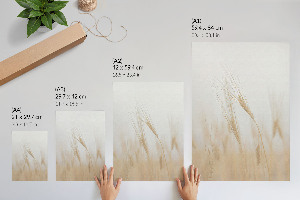 Vintage poszter Klasy obilí