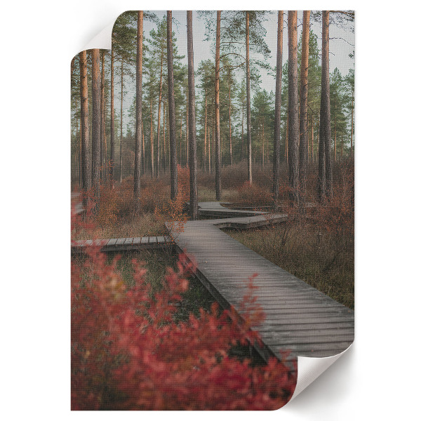 Retro plakát Lesní cesta