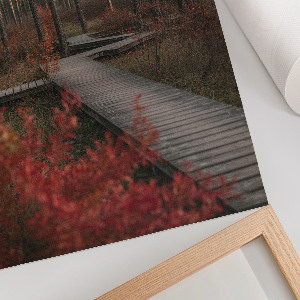 Retro plakát Lesní cesta