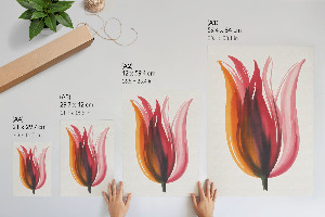 Poszter kép Barevný květ