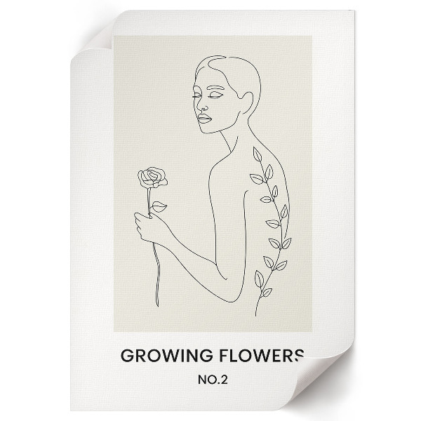 Retro poszter Rostlinná grafika