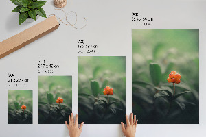 Retro poszter Oranžové bobule