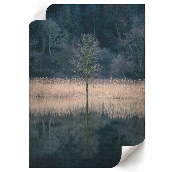 Retro poszter Klidná krajina