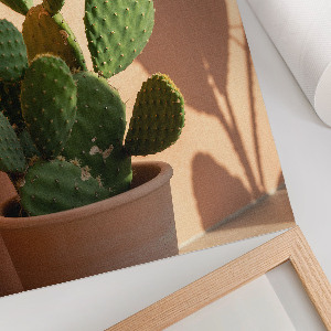 Vintage poszter Zelený kaktus