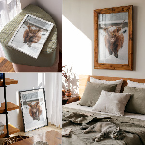 Retro poszter Zimní zvíře