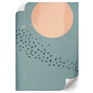 Retro poszter Ptáci na obloze