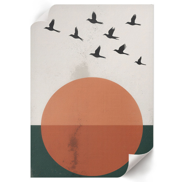 Poszter kép Ptáci a slunce