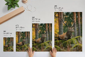 Vintage poszter Majestátní jelen