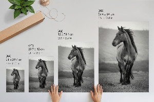 Retro poszter Majestátní kůň