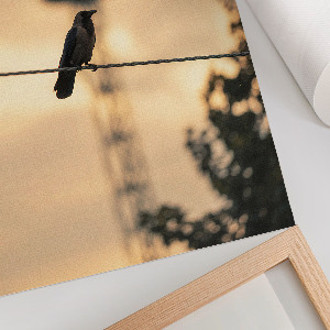 Retro plakát Pták na kabelu