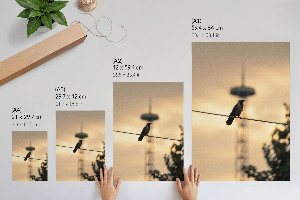 Retro plakát Pták na kabelu