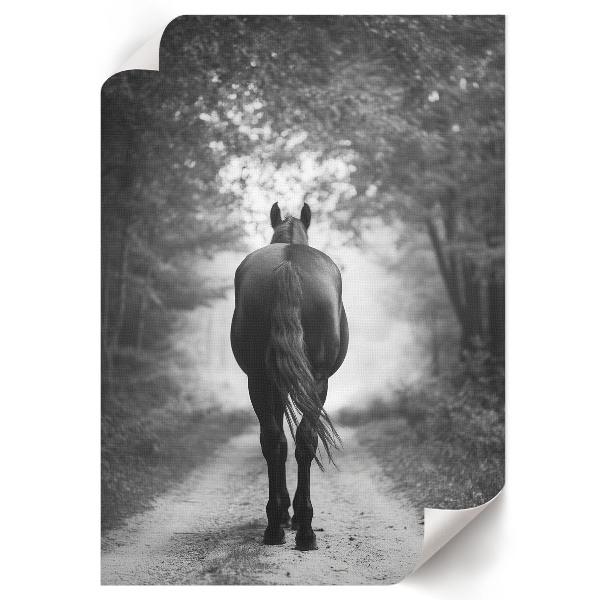 Poszter kép Kůň v lese