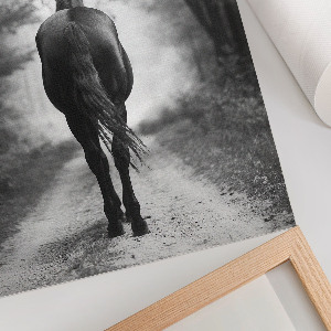 Poszter kép Kůň v lese