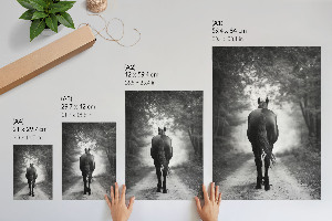 Poszter kép Kůň v lese