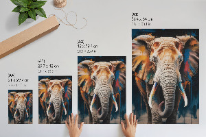 Retro poszter Slon v barvách