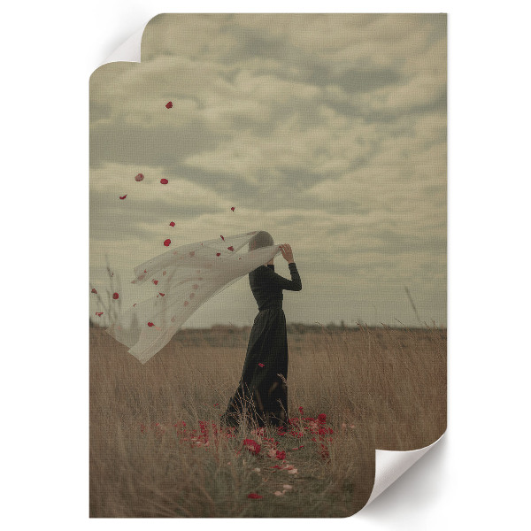 Poszter kép Figura v poli