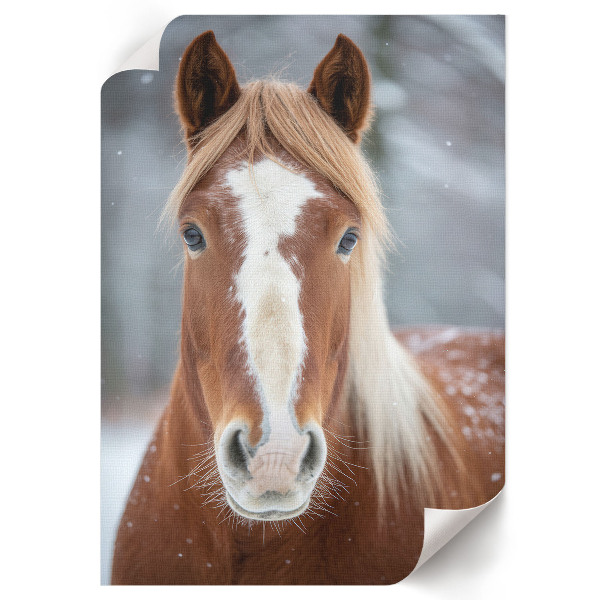 Retro poszter Kůň v zimě