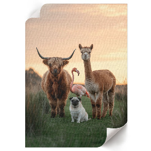 Vintage poszter Zvířata společně