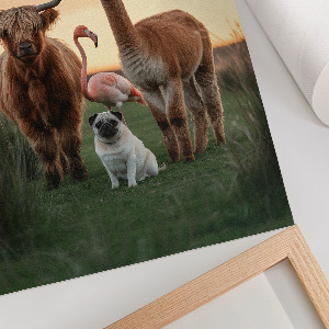 Vintage poszter Zvířata společně