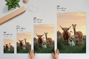 Vintage poszter Zvířata společně