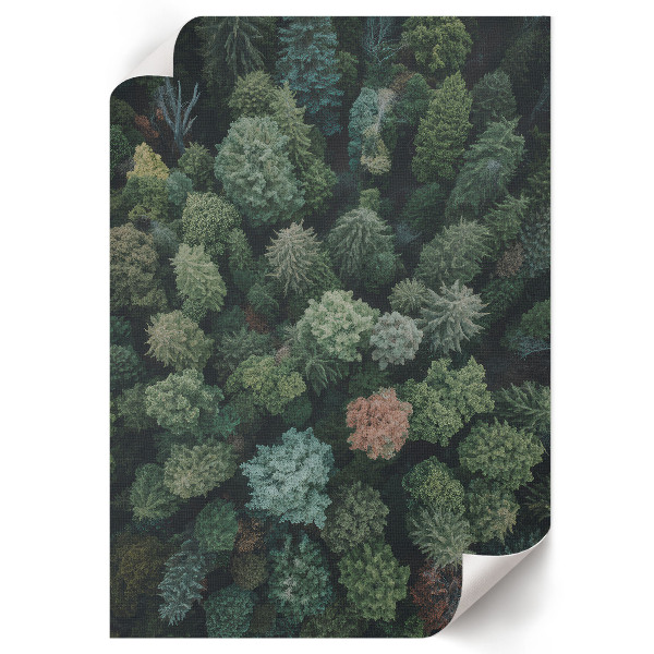 Retro plakát Les shora