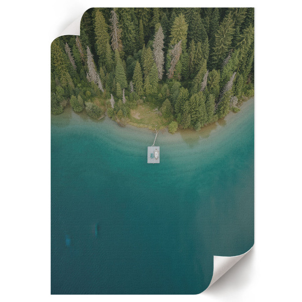 Retro poszter Lesní ráj