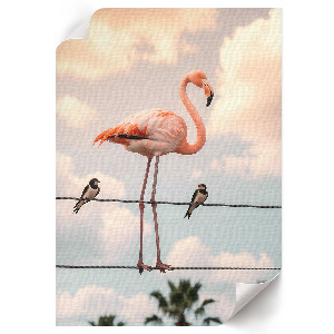 Poszter: Flamingó a vezetéken