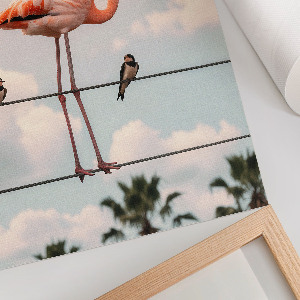 Poszter kép Plameňák na kabelu