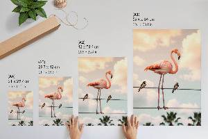 Poszter kép Plameňák na kabelu