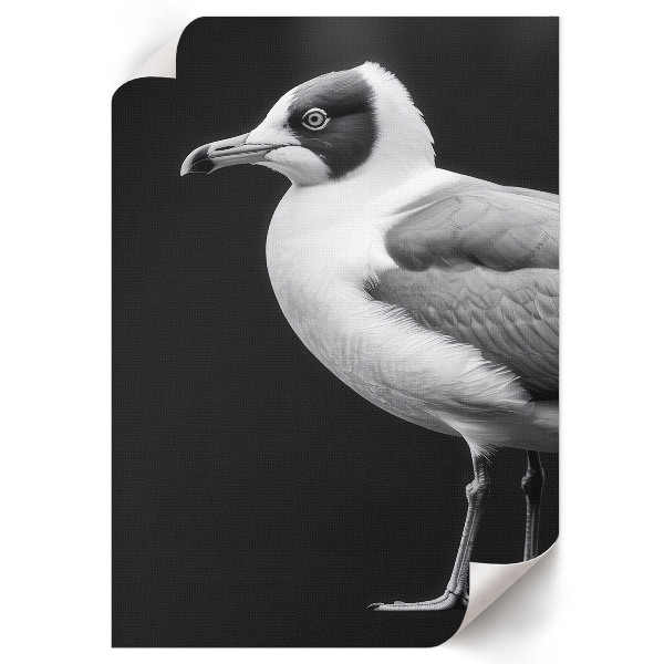 Poszter kép Ptačí portrét