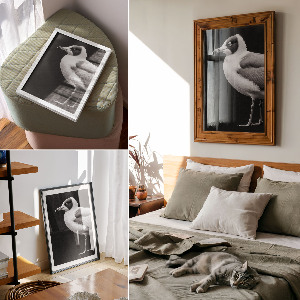 Poszter kép Ptačí portrét