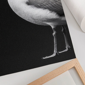 Poszter kép Ptačí portrét