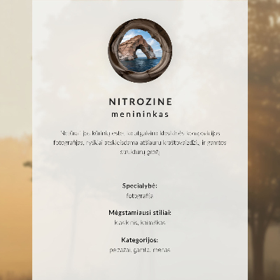 Vintage poszter Zimní krajina