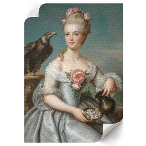 Poszter kép Klasická elegance