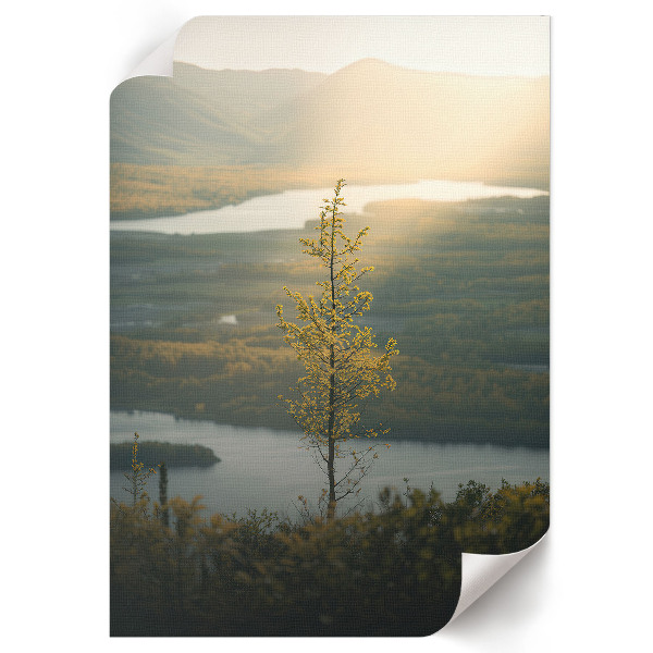 Retro poszter Krajina přírody