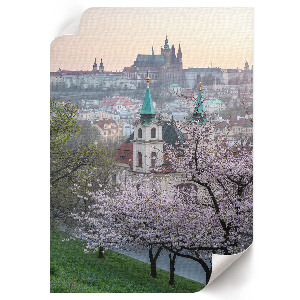 Poszter kép Jarní město