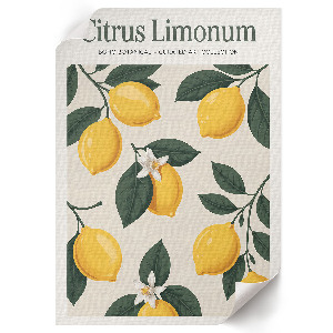 Vintage Citrus limonum poszter